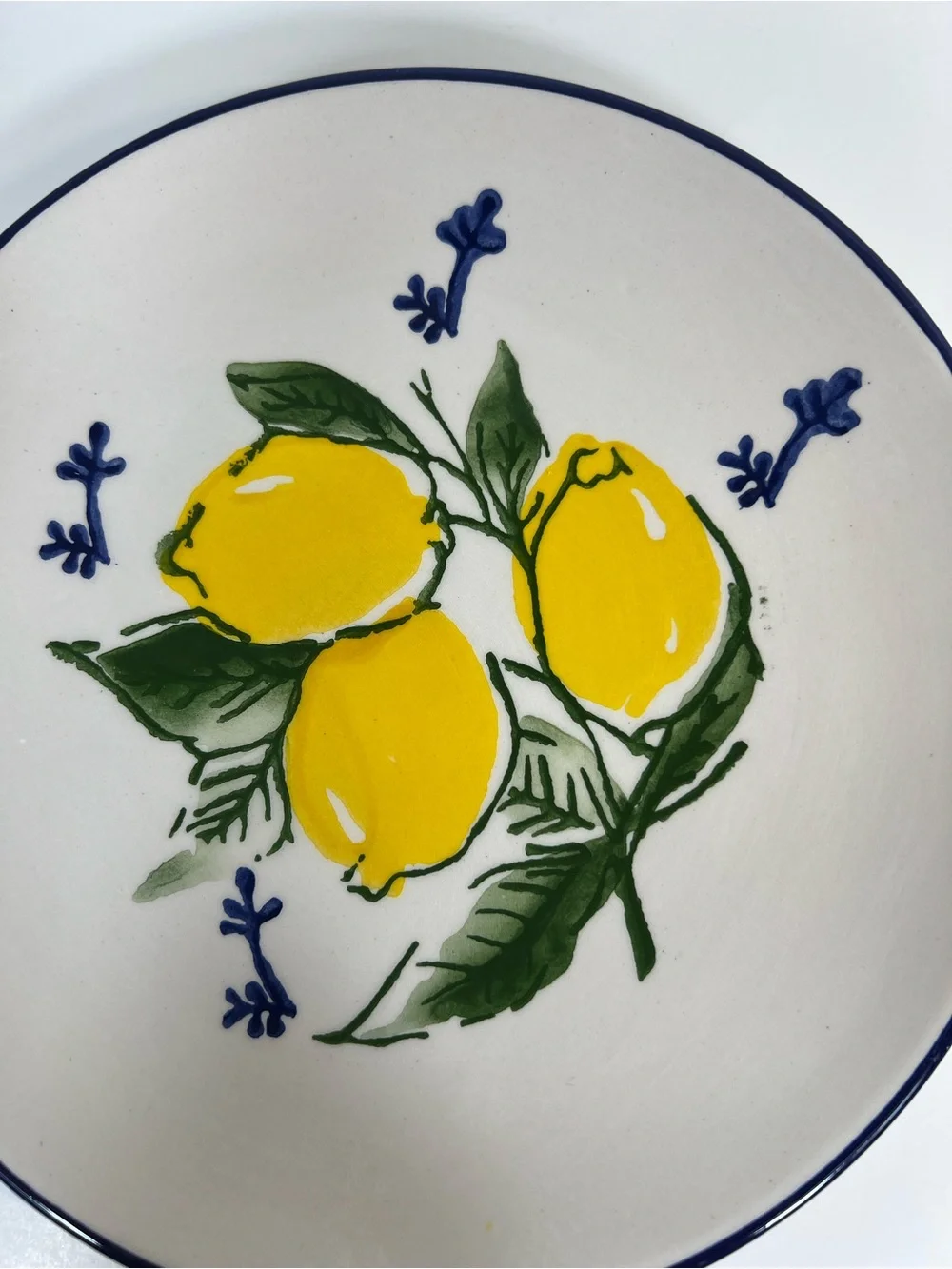 Papart Seramik Hand Painted Lemon Salad Plates Set of 2 Turkey 8”